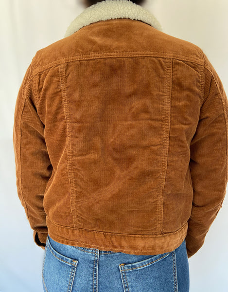 Behind Closed Doors Corduroy Jacket - Brown